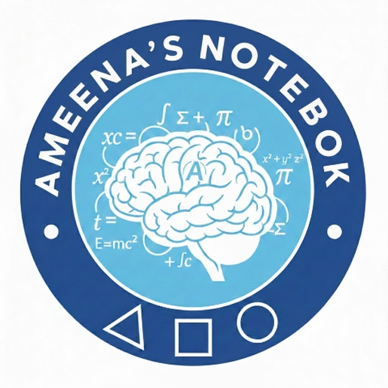 Ameena's Notebook 