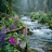 @masoodshah2000