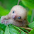 @Leah-y2b-k3v