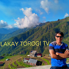 BRAD LAKAY TOROGI TV net worth