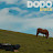 Dodo - Topic