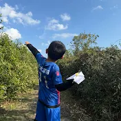 追球少年
