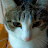 @TecMon-l6z