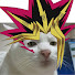 O_Crty-mrr8-channel-avatar-Yugioh Archives
