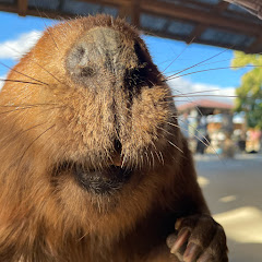 むーむーむー🍠