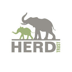 HERD Elephant Orphanage South Africa net worth