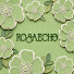 jnn1fMXC0OQ-channel-avatar- RosaEchoStudio
