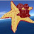 @StarfishChannel
