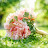 @healing축복이
