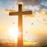 KfU6HN8BUfs-channel-avatar-Apologetics Network International