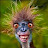 @MG1Rock Avatar