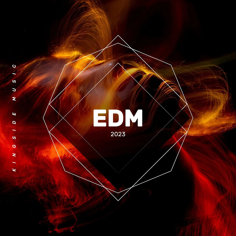 EDM MUSIC MIX 