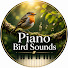 K-Yt8dQjT_g-channel-avatar-Piano Bird Sounds