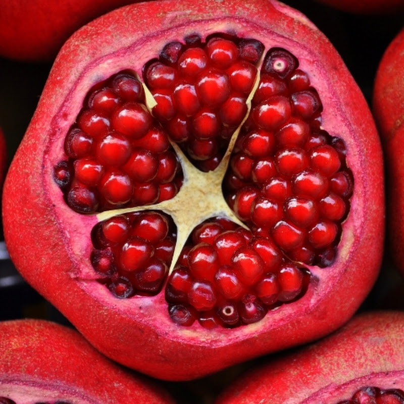 Fruity Fun