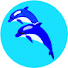 a_n79XFr1iQ-channel-avatar-セイシカの🐬エイサー