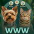 egdtjG7dNOo-channel-avatar-Wiggle Waggle Weekly
