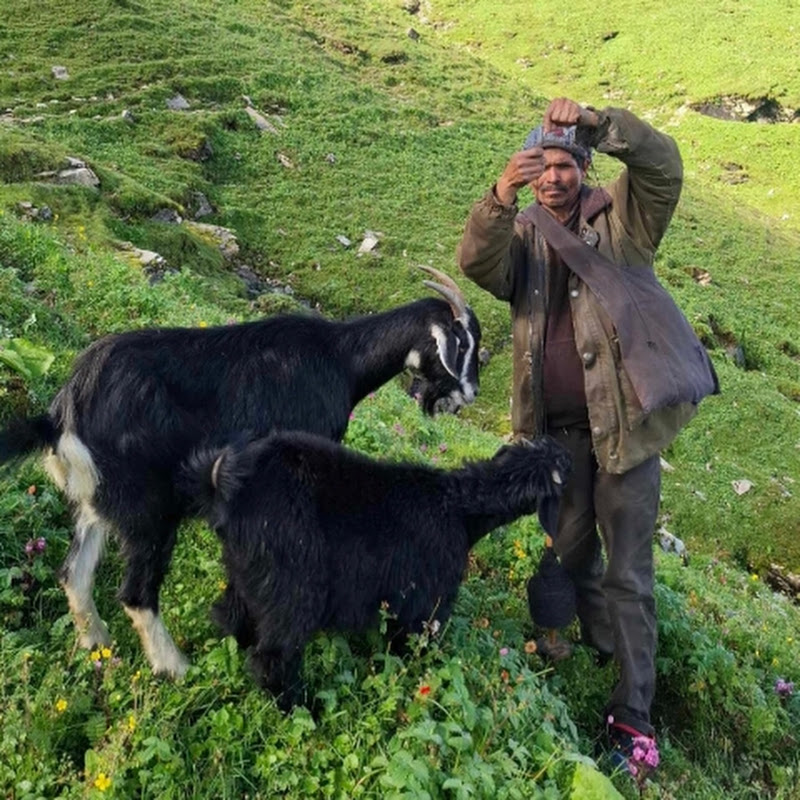 Real Life Nepal