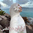 @lilyanmortadi