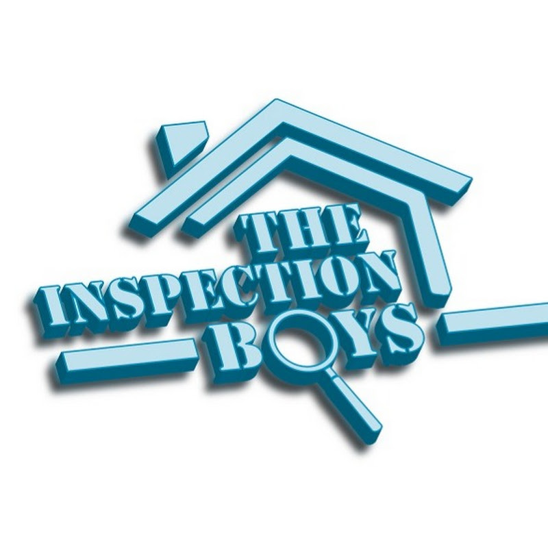 The Inspection Boys