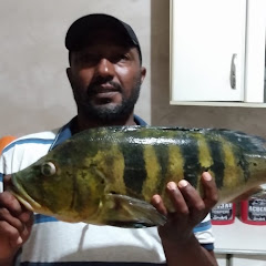 GILBERTO PESCADOR LINS SP