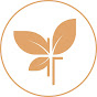 The Branch Christian Church logo