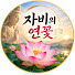 AM8vq9BFUKE-channel-avatar-자비의 연꽃