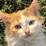 vJ7dma-qKPo-channel-avatar-your comfy playlist 