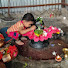 OVp-JGH3Yk8-channel-avatar-Shraddha_official