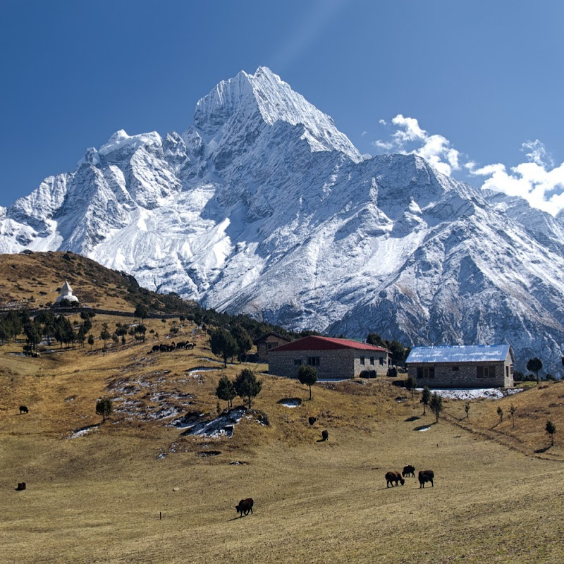 Nepal Travel Guide (Food,  Shop, Accommodation)