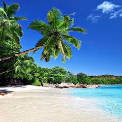 MAO先生【幸せホルモンを分泌させちゃうドライヘッドマッサージをお教えします】アイコン画像