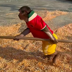 Black mythアイコン画像