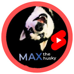 MAX THE HUSKY SHORTS el PERRO que HABLA
