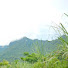 QkquTFbhYxc-channel-avatar-The pace of life in rural areas