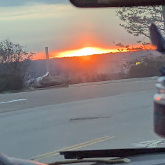 Myleasolos(quit for now)