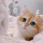 Ginger Story Avatar