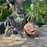 gz3dqy1PiKA-channel-avatar-Evil Kürbis