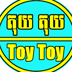 Toy Toy net worth