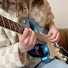sZ6P4ubGEH0-channel-avatar-bossabop guitar