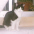 ULXhbwlNwrQ-channel-avatar-mcarmenpagán