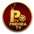 GXdKk-l-uVw-channel-avatar-Pindora Tv and THE TV NRI