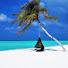 L9WEUJ9bL9k-channel-avatar-Lifestyle Holidays