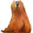 @r2-development's avatar