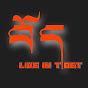 Livestream In Tibet -channel  logo