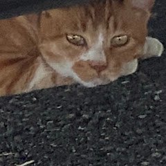 ももえモン🍈👑