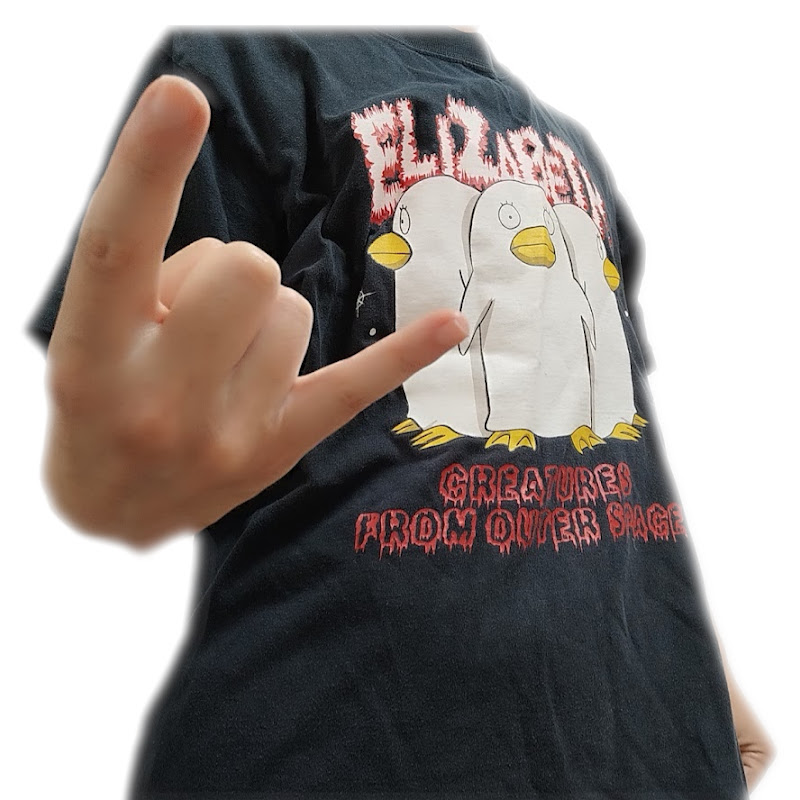 Roar of Elizabeth / 個人的に好きな曲を弾いてみた YouTubeチャンネル画像