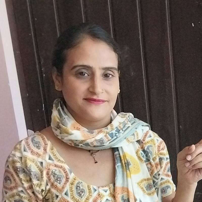 MeenaDIY icon