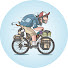 VRQGdbauUT8-channel-avatar-Bikepackid