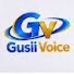 YIF_vI0DePU-channel-avatar-GUSII VOICE 