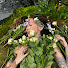 1HNJmdSZY7g-channel-avatar-Betti Dooley