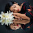 Photo of @farzanaahsanmihi